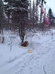 720 X 960 226.4 Kb 720 X 960 226.6 Kb     ( ) . 