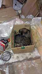 341 X 604  43.9 Kb !     . !