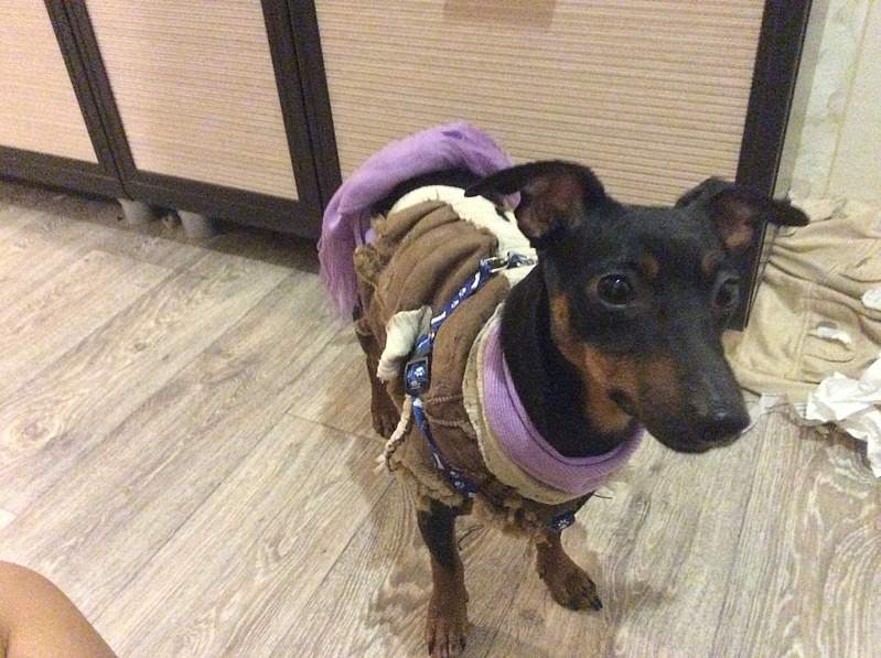 1920 X 1434 602.2 Kb       