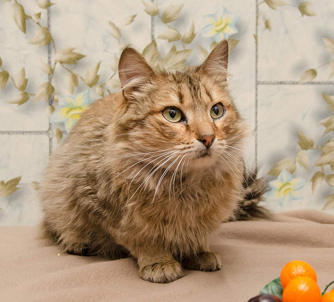 1920 X 1737 773.9 Kb    