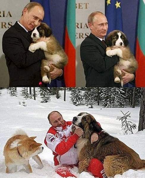 492 X 604  80.1 Kb Улыбнемся?