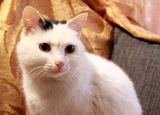 876 X 627 215.7 Kb    !