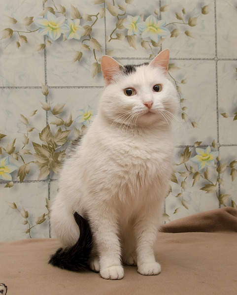 1605 X 2000 223.2 Kb    !