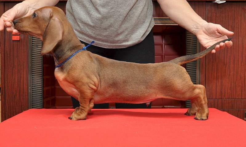 1920 X 1144 731.8 Kb     