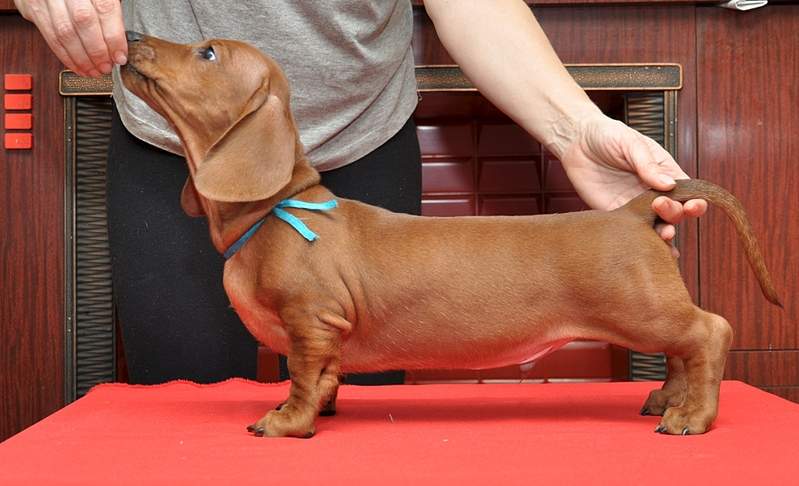 1920 X 1167 771.4 Kb 1920 X 1206 725.8 Kb 1920 X 1144 731.8 Kb     