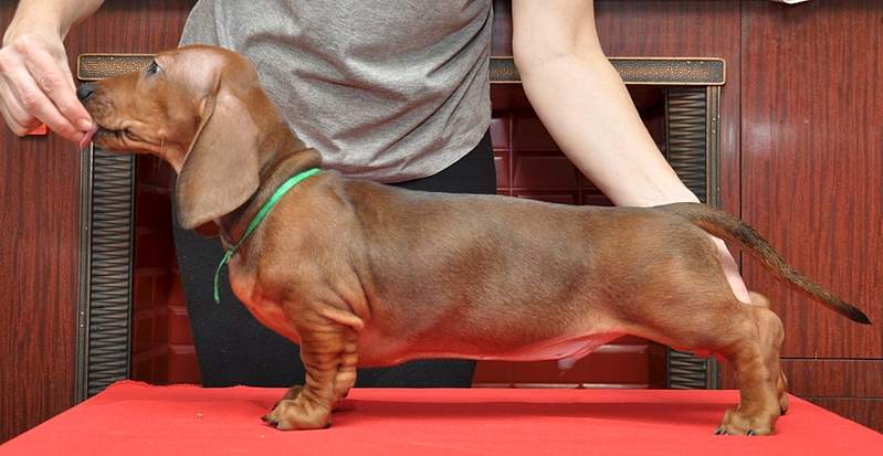 1920 X 992 731.7 Kb 1920 X 1167 771.4 Kb 1920 X 1206 725.8 Kb 1920 X 1144 731.8 Kb     