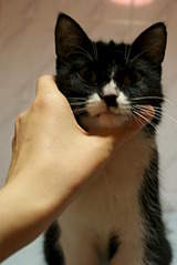 1920 X 2872 793.3 Kb -