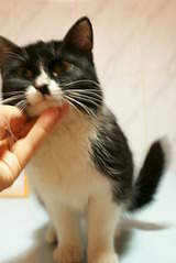 1920 X 2872 716.8 Kb 1920 X 2872 793.3 Kb -