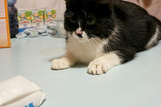 1920 X 1283 369.3 Kb 1920 X 1283 337.8 Kb 1920 X 2872 716.8 Kb 1920 X 2872 793.3 Kb -