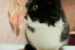 1920 X 1283 380.5 Kb 1920 X 1283 369.3 Kb 1920 X 1283 337.8 Kb 1920 X 2872 716.8 Kb 1920 X 2872 793.3 Kb -