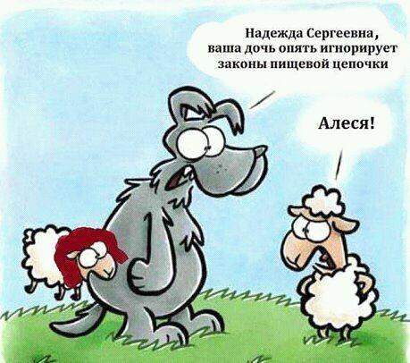 459 x 406 WOOMEN 