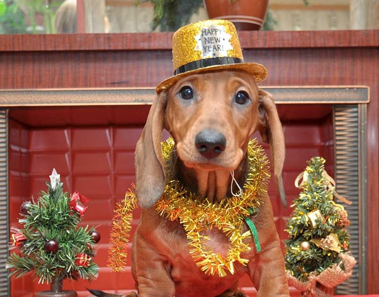 1601 X 1253 808.9 Kb     