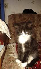 1536 X 2560 259.5 Kb  2- . 