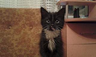 1920 X 1152 335.6 Kb 1920 X 1152 366.1 Kb 1536 X 2560 248.1 Kb 1536 X 2560 259.5 Kb  2- . 