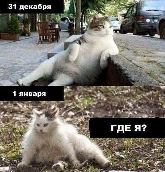 580 X 604  57.3 Kb Улыбнемся?