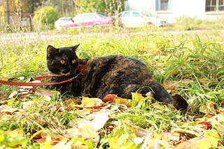 1920 X 1280 936.6 Kb 1920 X 1418 203.9 Kb   