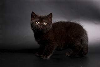 1024 X 683 272.9 Kb 768 X 960 280.7 Kb 768 X 996 308.5 Kb   