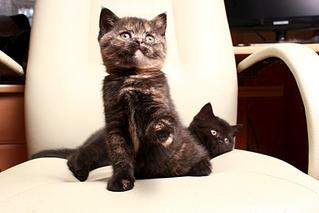 1024 X 683 69.3 Kb 1024 X 683 68.5 Kb 1024 X 683 112.6 Kb   