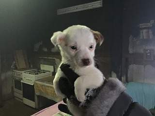 1920 X 1440 595.5 Kb -   !