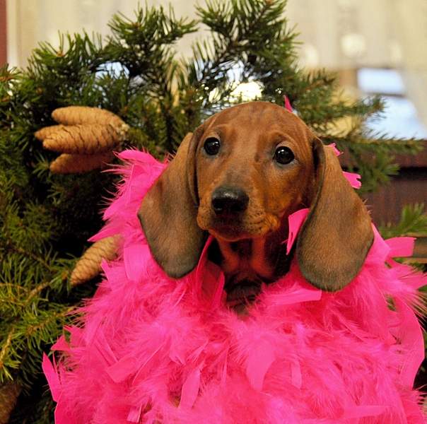 1398 X 1387 885.6 Kb 1920 X 1783 281.9 Kb 816 X 928 329.3 Kb     