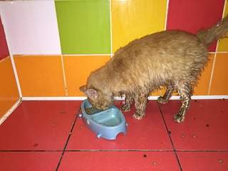 1920 X 1440 487.9 Kb !    ....