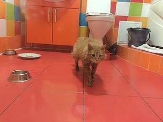 1920 X 1440 521.7 Kb 1920 X 1440 549.7 Kb 1920 X 1440 554.5 Kb 1920 X 1440 487.9 Kb !    ....