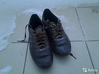 640 X 480 64.2 Kb 640 X 480 69.8 Kb  adidas porsche design