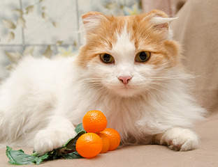 1920 X 1476 579.3 Kb 1919 X 1901 859.1 Kb      