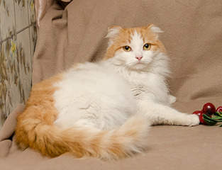 1919 X 1471 556.4 Kb 1920 X 1476 579.3 Kb 1919 X 1901 859.1 Kb      