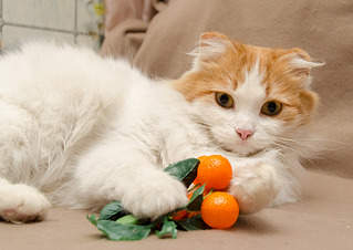 1919 X 1358 488.5 Kb 1919 X 1471 556.4 Kb 1920 X 1476 579.3 Kb 1919 X 1901 859.1 Kb      