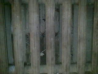 1920 X 1440 299.9 Kb   