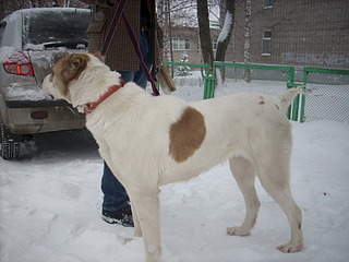 1920 X 1440 643.1 Kb   