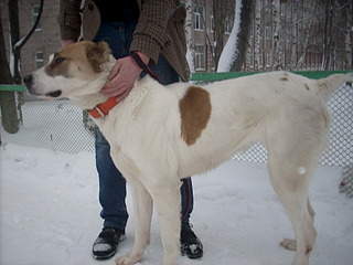 1920 X 1440 557.7 Kb 1920 X 1440 643.1 Kb   