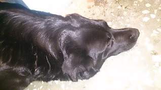 1920 X 1079 407.7 Kb   ,   