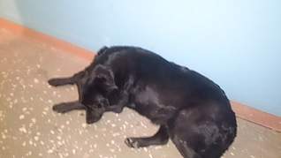 1920 X 1079 316.6 Kb 1920 X 1079 368.8 Kb 1920 X 1079 407.7 Kb   ,   