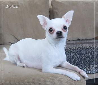 1841 X 1593 654.5 Kb 1920 X 1308 577.7 Kb   - !