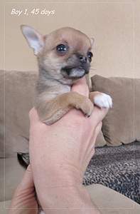 1920 X 2917 239.8 Kb 1841 X 1593 654.5 Kb 1920 X 1308 577.7 Kb   - !