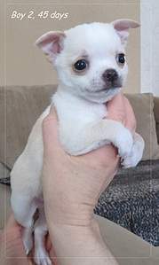 1825 X 3057 261.2 Kb 1920 X 2917 239.8 Kb 1841 X 1593 654.5 Kb 1920 X 1308 577.7 Kb   - !