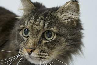 1280 X 850 177.8 Kb 1280 X 850 103.8 Kb 1280 X 850 145.8 Kb 1280 X 850 158.8 Kb  