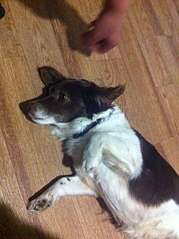 451 X 604  62.3 Kb   ()    .