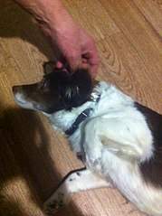 451 X 604  55.1 Kb 451 X 604  62.3 Kb   ()    .