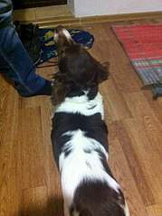 451 X 604  58.4 Kb 451 X 604  55.1 Kb 451 X 604  62.3 Kb   ()    .