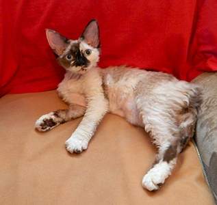 1920 X 1814 873.0 Kb 1920 X 1919 899.1 Kb  -