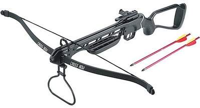 550 X 299 26.9 Kb  -    , .