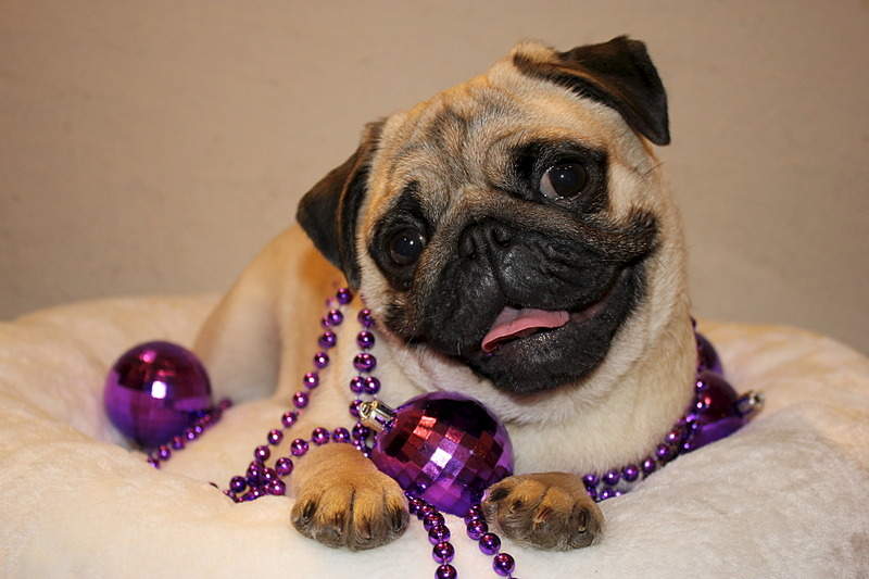 1920 X 1280 468.8 Kb 1920 X 1280 493.8 Kb .  !