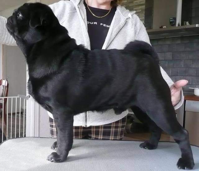 640 x 550  -  !