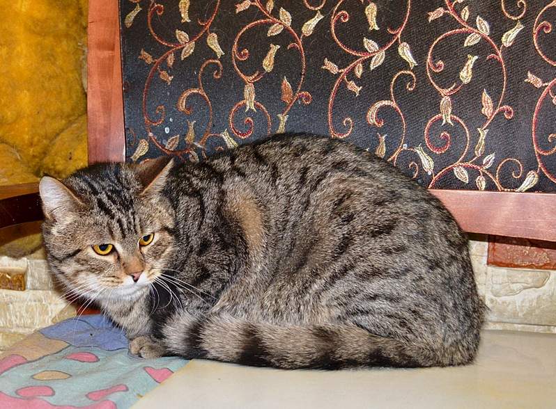 1920 X 1413 996.7 Kb     