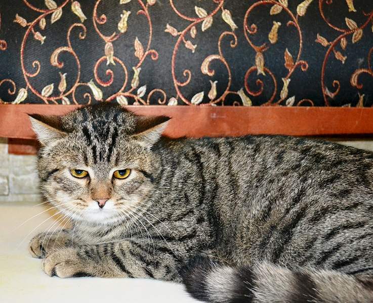 1920 X 1563 444.4 Kb     