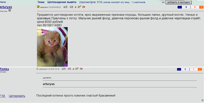 1851 X 939 236.8 Kb  