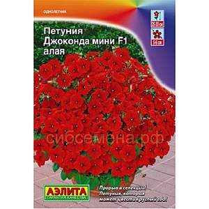 360 X 360 66.8 Kb ПЕТУНИИ